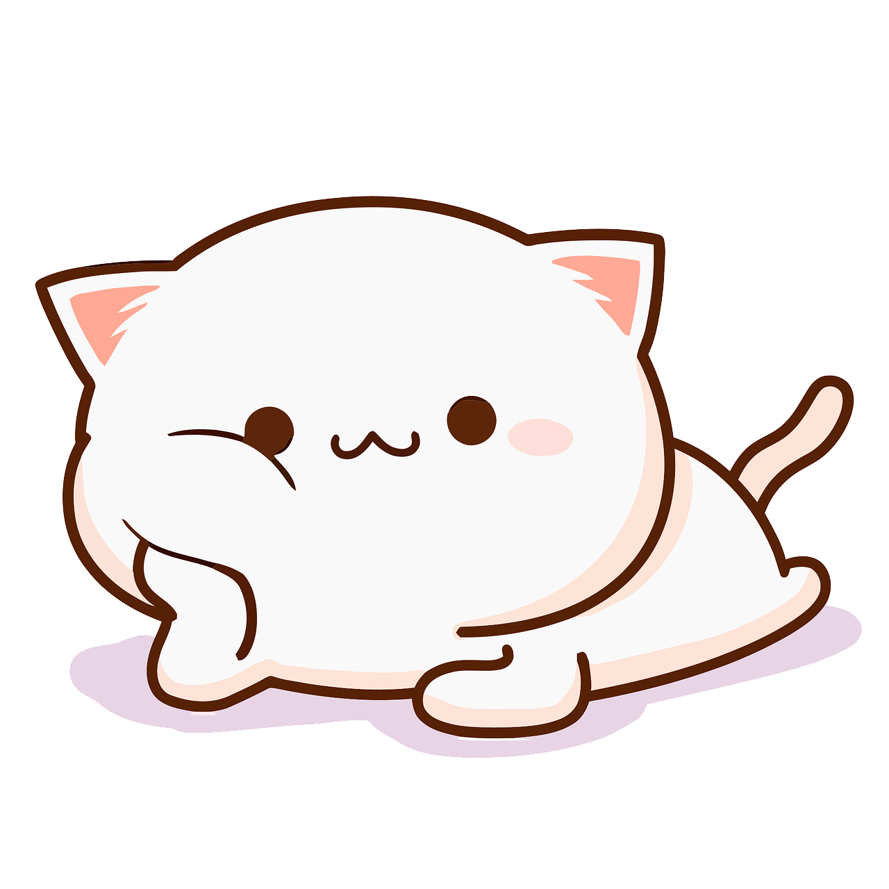cat-6047457_1280