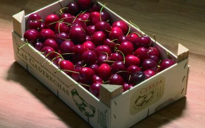 Cereza del Valle de Las Caderechas (Marca de Garantía)