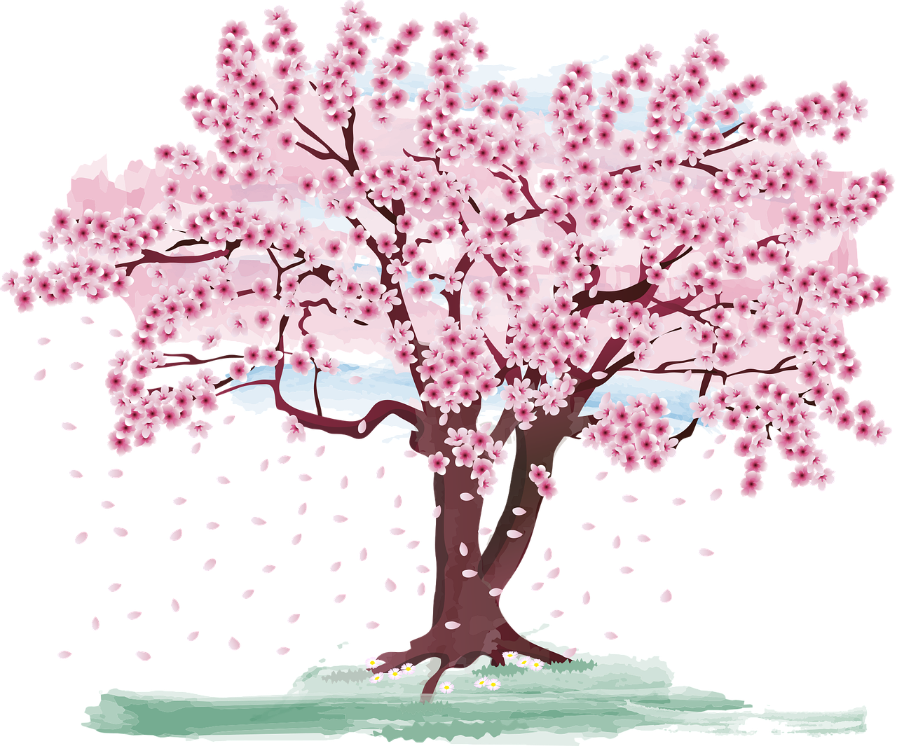 cherry-blossom-7081566_1280