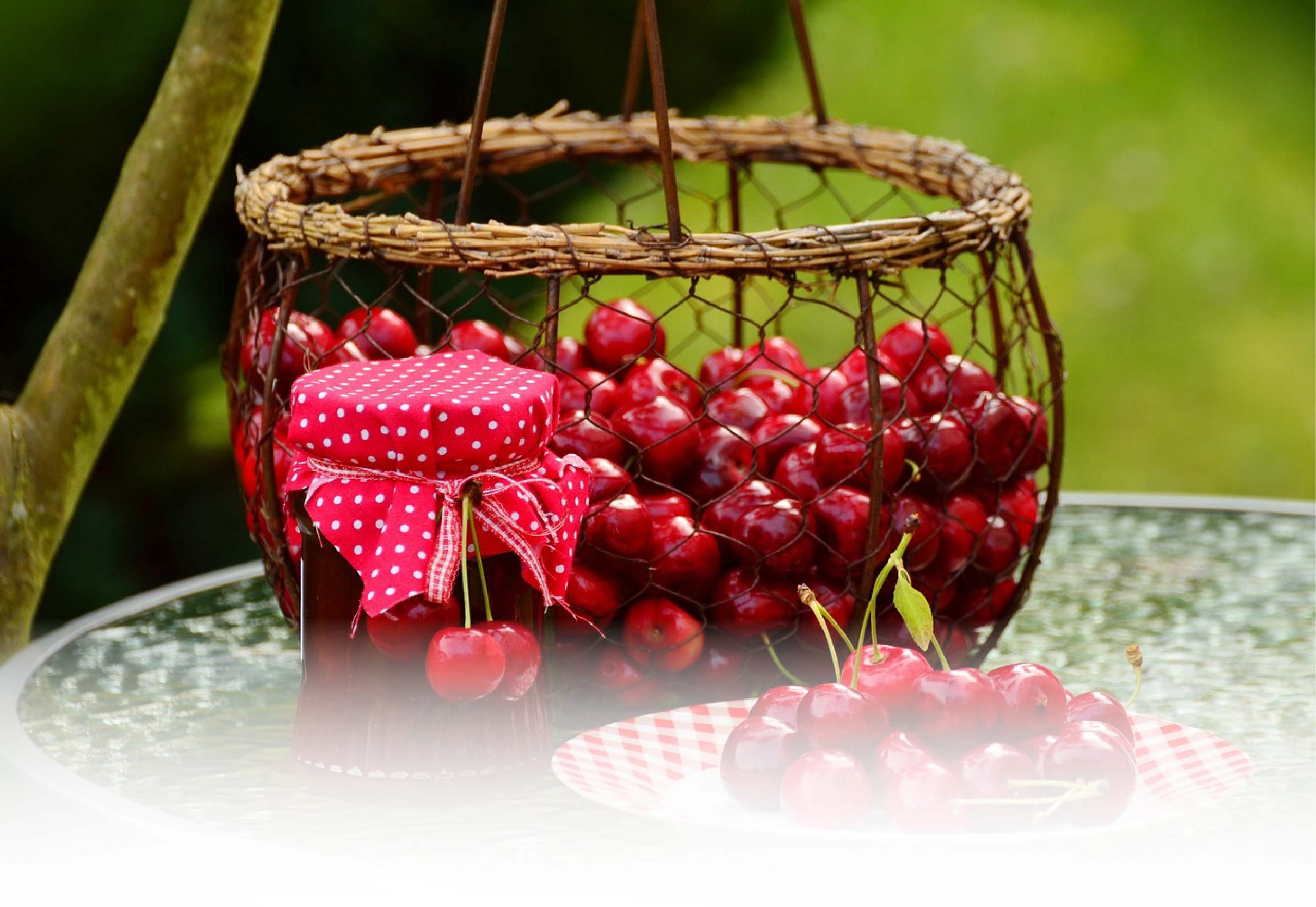 cherries-1503988_1280 (2)